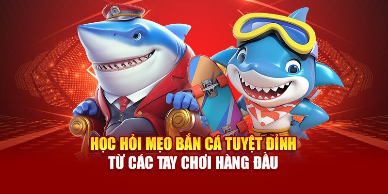 Vua săn cá FM88 Chiến thuật săn cá hiệu quả tại FM88