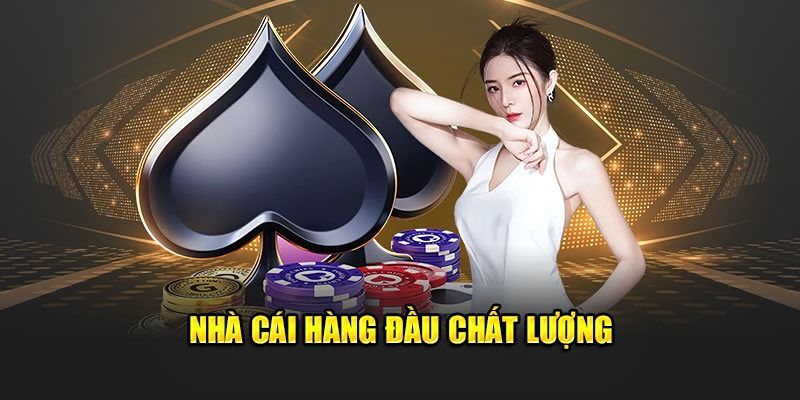nhà cái fm88 Lợi ích khi người chơi hiểu rõ chính sách tại nhà cái FM88
